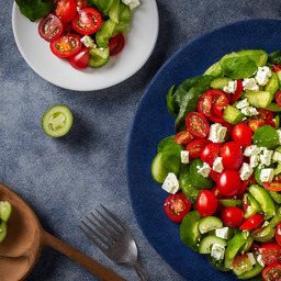A photograph of a plate of Greek Salad, generated by AI