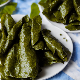 A photograph of a plate of Stuffed Grape Leaves, generated by AI