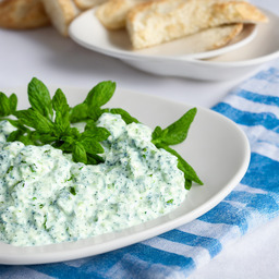 A photograph of a plate of Tzatziki, generated by AI